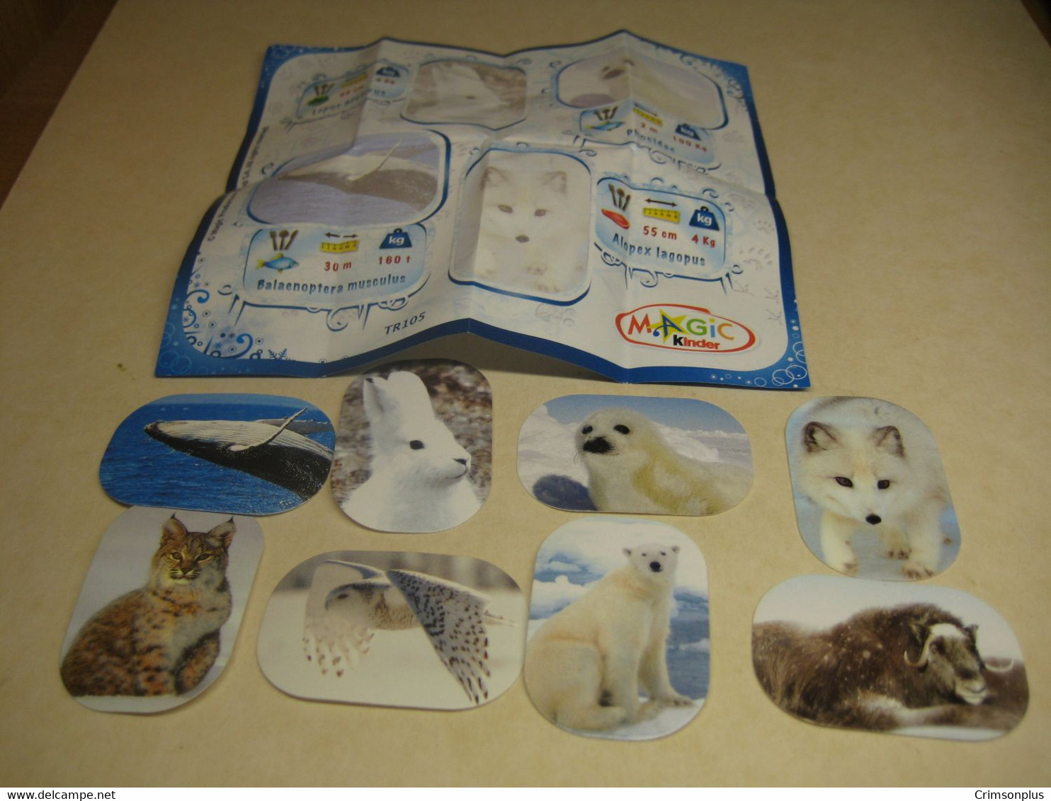 2012 Ferrero - Kinder Surprise - TR105 - Natoons - Stickers Polar Animals + BPZ - Monoblocchi