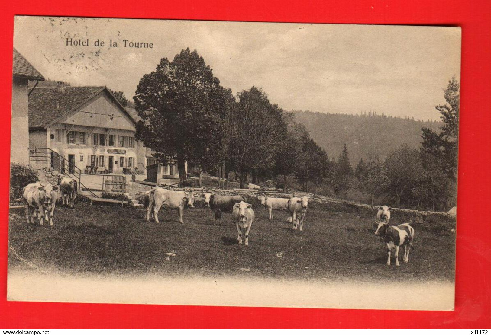 DAI-16  Rochefort Hotel De La Tourne. Troupeau De Vaches. Circulé 1918 Vers Cormondrèche - Cormondrèche