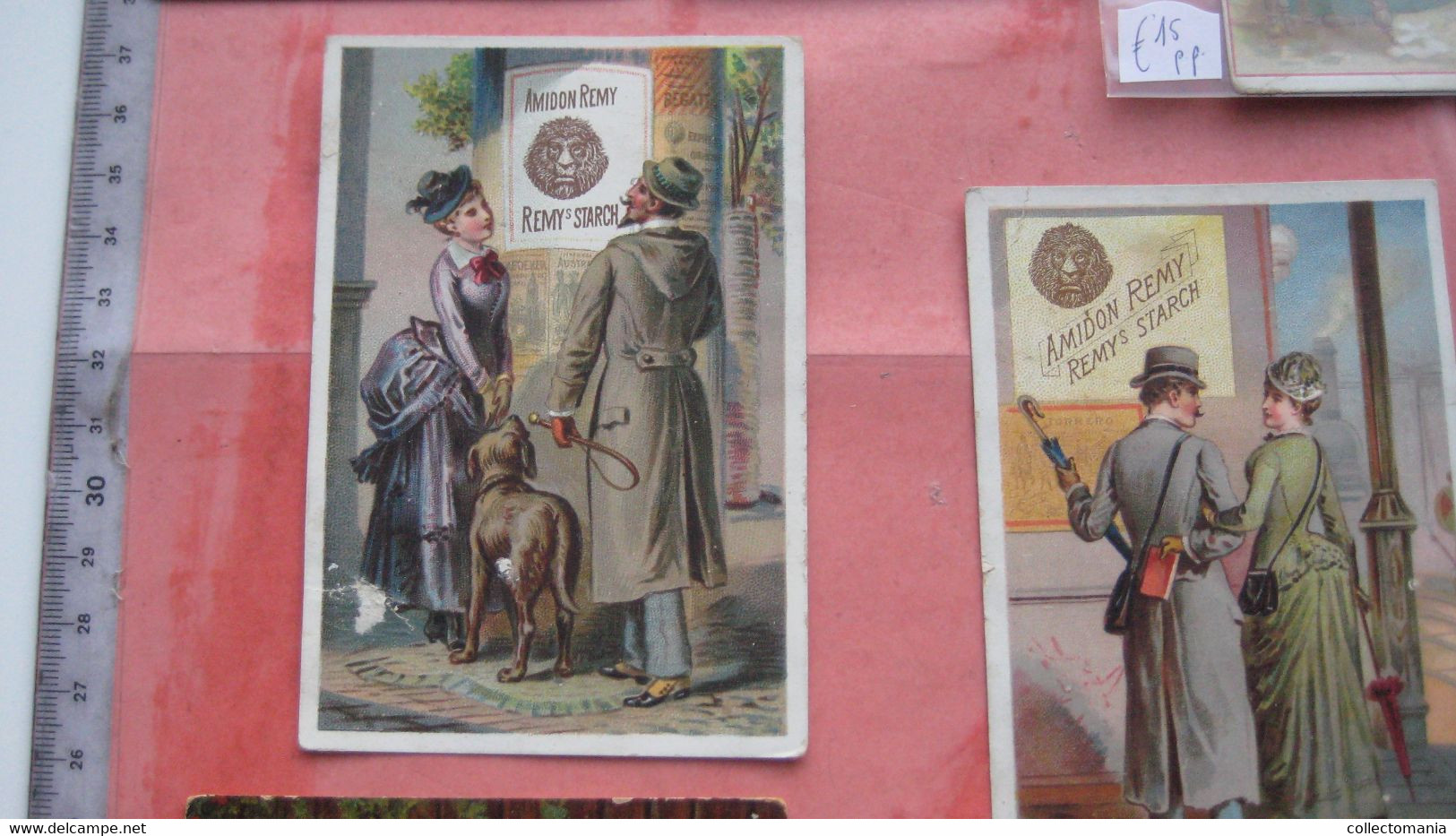 15  Cards AMIDON REMY Marque De Fabrique Tête De Lion Transport De L'Amidon Remy En Differente Pays Elephant - Small : ...-1900