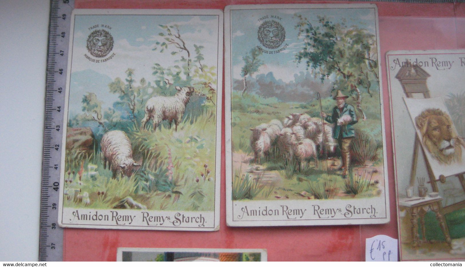 15  Cards AMIDON REMY Marque De Fabrique Tête De Lion Transport De L'Amidon Remy En Differente Pays Elephant - Petit Format : ...-1900