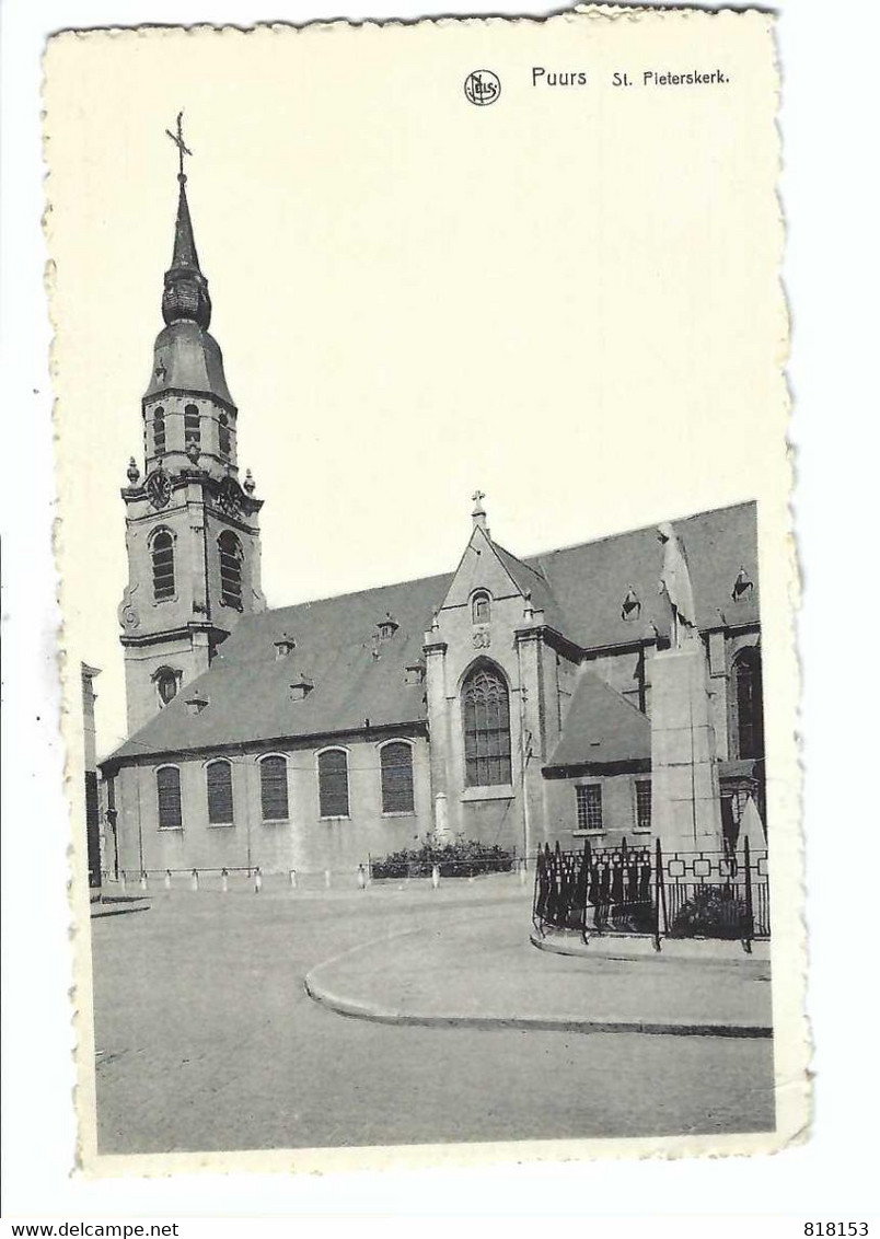 Puurs   St-Pieterskerk - Puurs