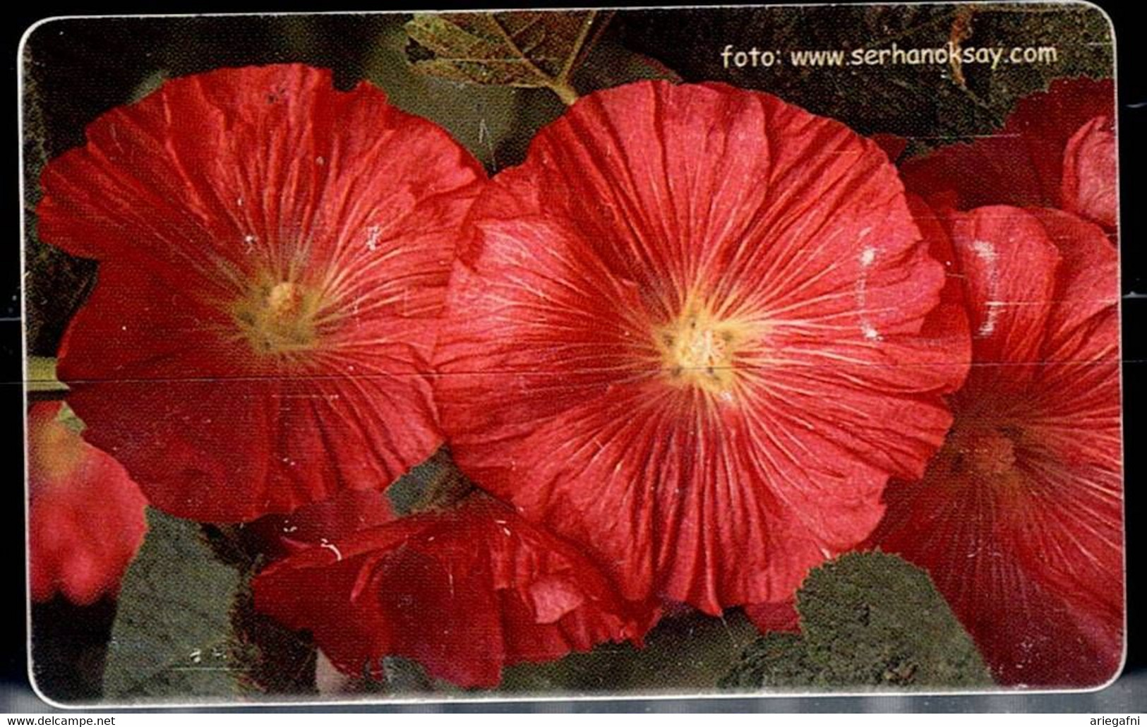 TURKEY 2006 PHONECARDS FLOWERS USED VF!! - Flores