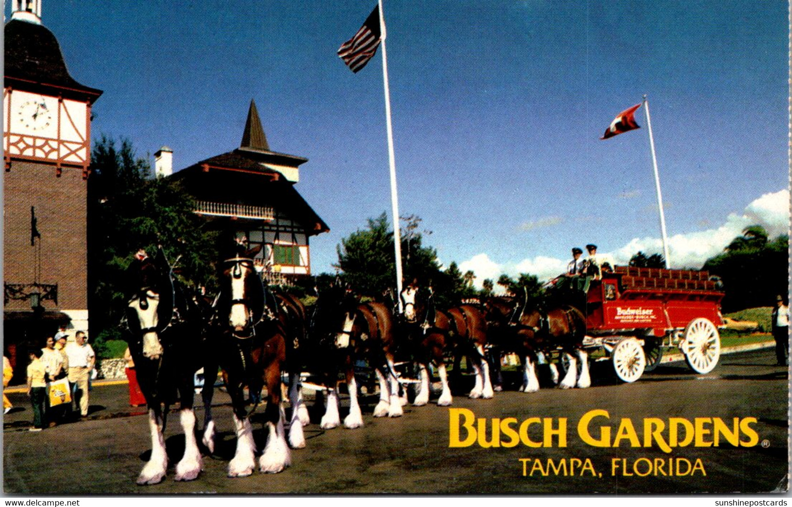 Florida Tampa Busch Gardens The Anheuser-Busch Clydesdales - Tampa