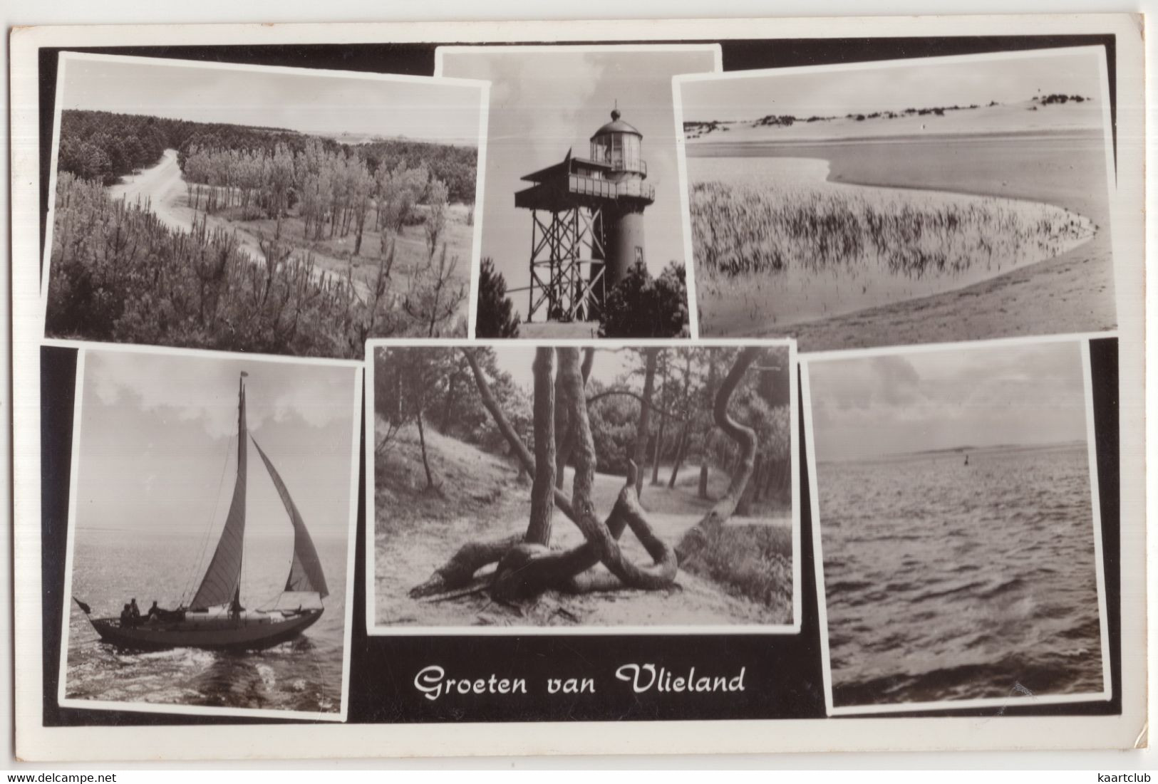 Groeten Van Vlieland - (Wadden, Nederland/Holland) - 1959 - Vlieland