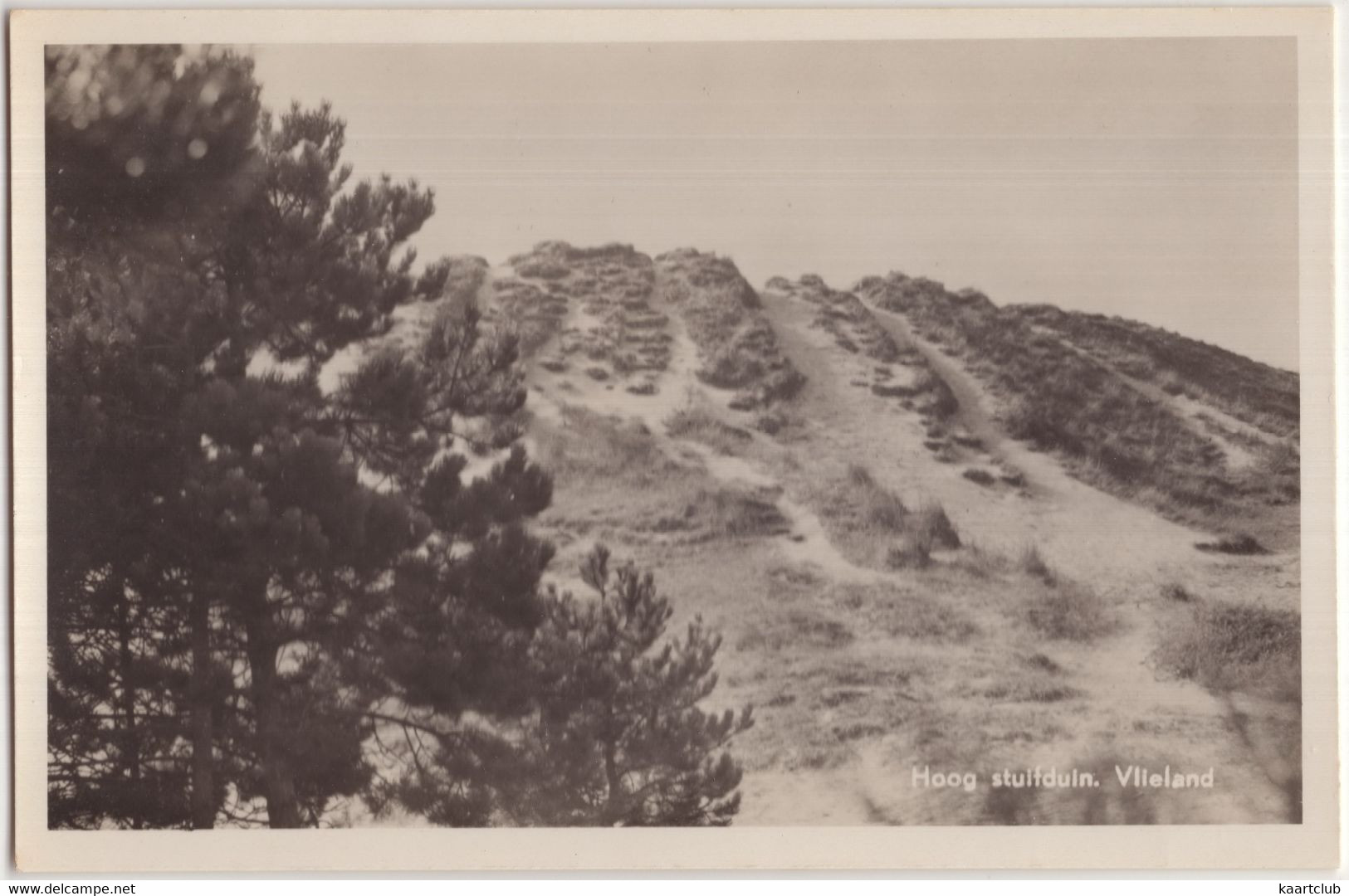 Hoog Stuifduin. Vlieland - (Wadden, Nederland/Holland) - Vlieland