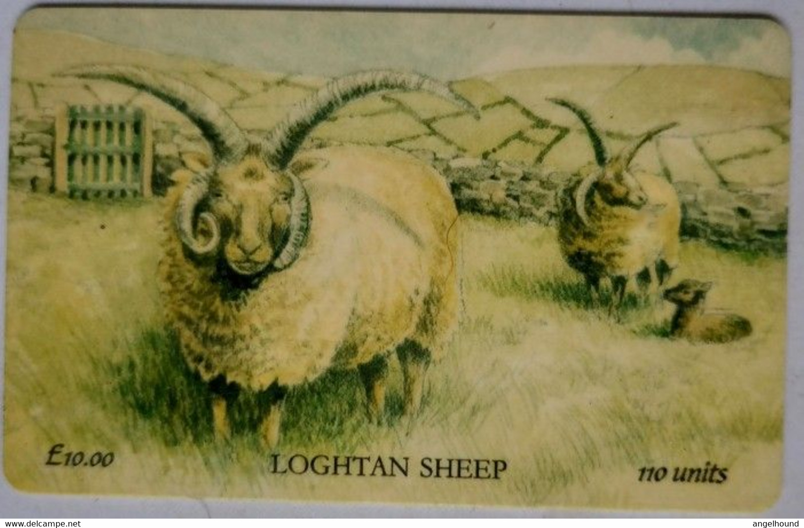 Osle Of Man £10 - 110 Units " Loghtan Sheep " - Man (Ile De)