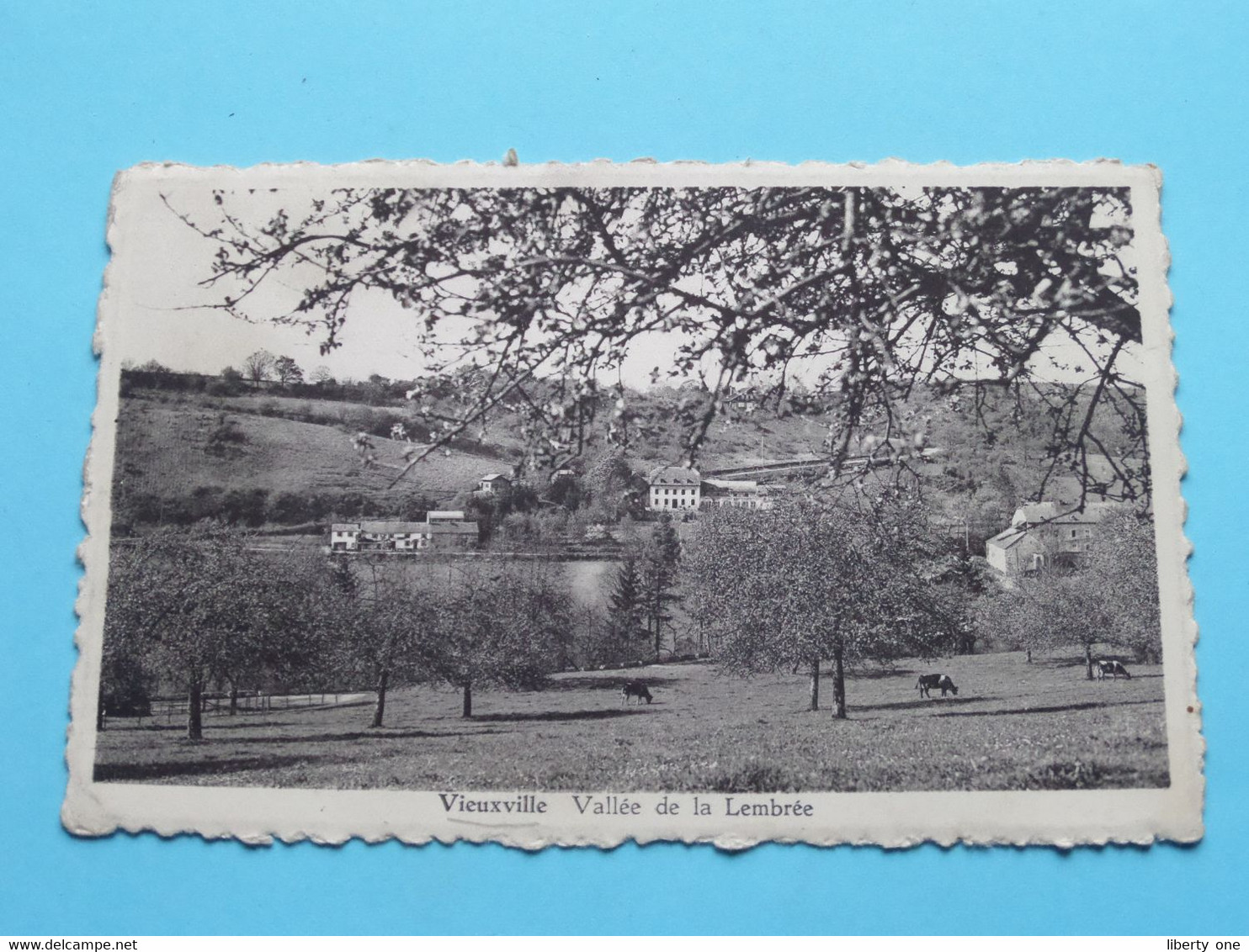 Vieuxville - Vallée De La Lembrée ( Edit. L. Van Grunderbeeck ) Anno 19?? ( Voir / See Scans ) ! - Ferrières