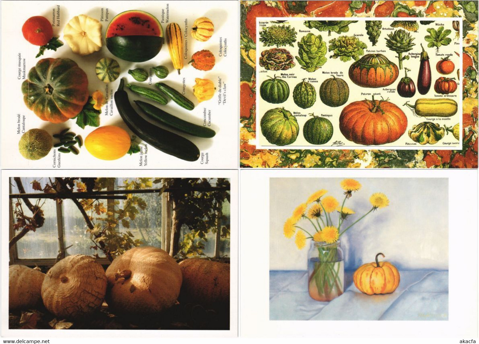 PUMPKINS, HALLOWEEN HOLIDAY 25 Modern Postcards (L5258) - Halloween