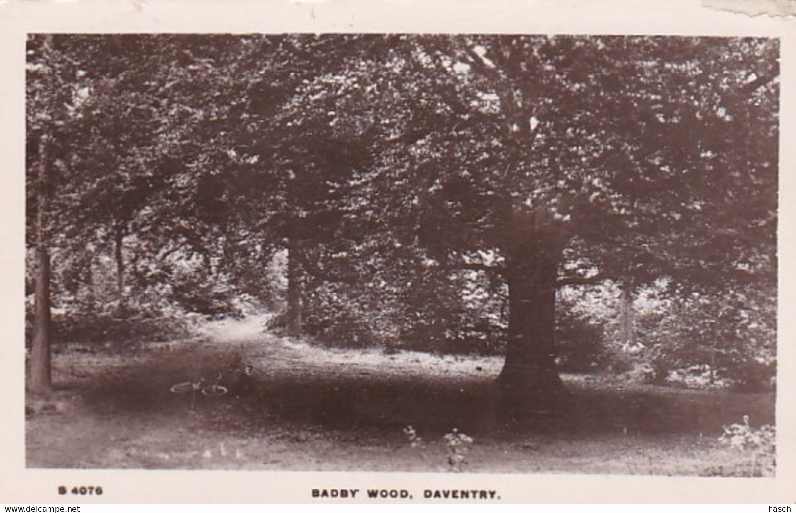 4841  45 Daventry, Badby Wood  1913 - Northamptonshire