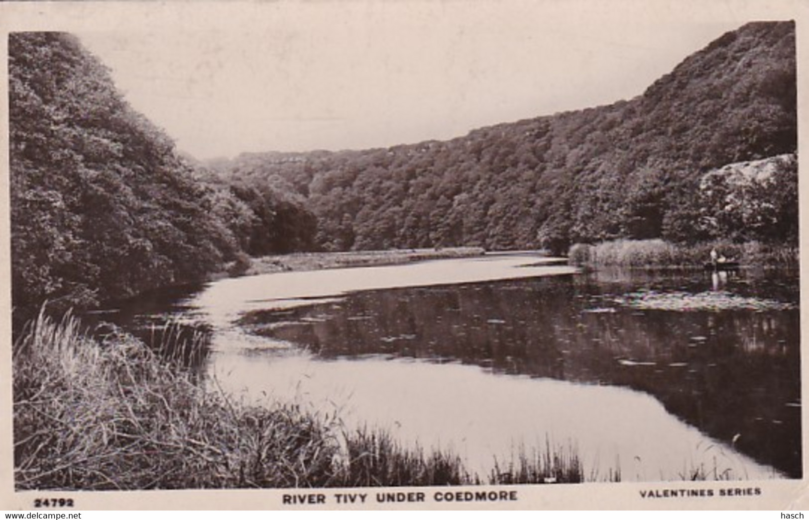 4841  61 Cardigan, River Tivy Under Coedmore  (little Fold Right Under) - Cardiganshire