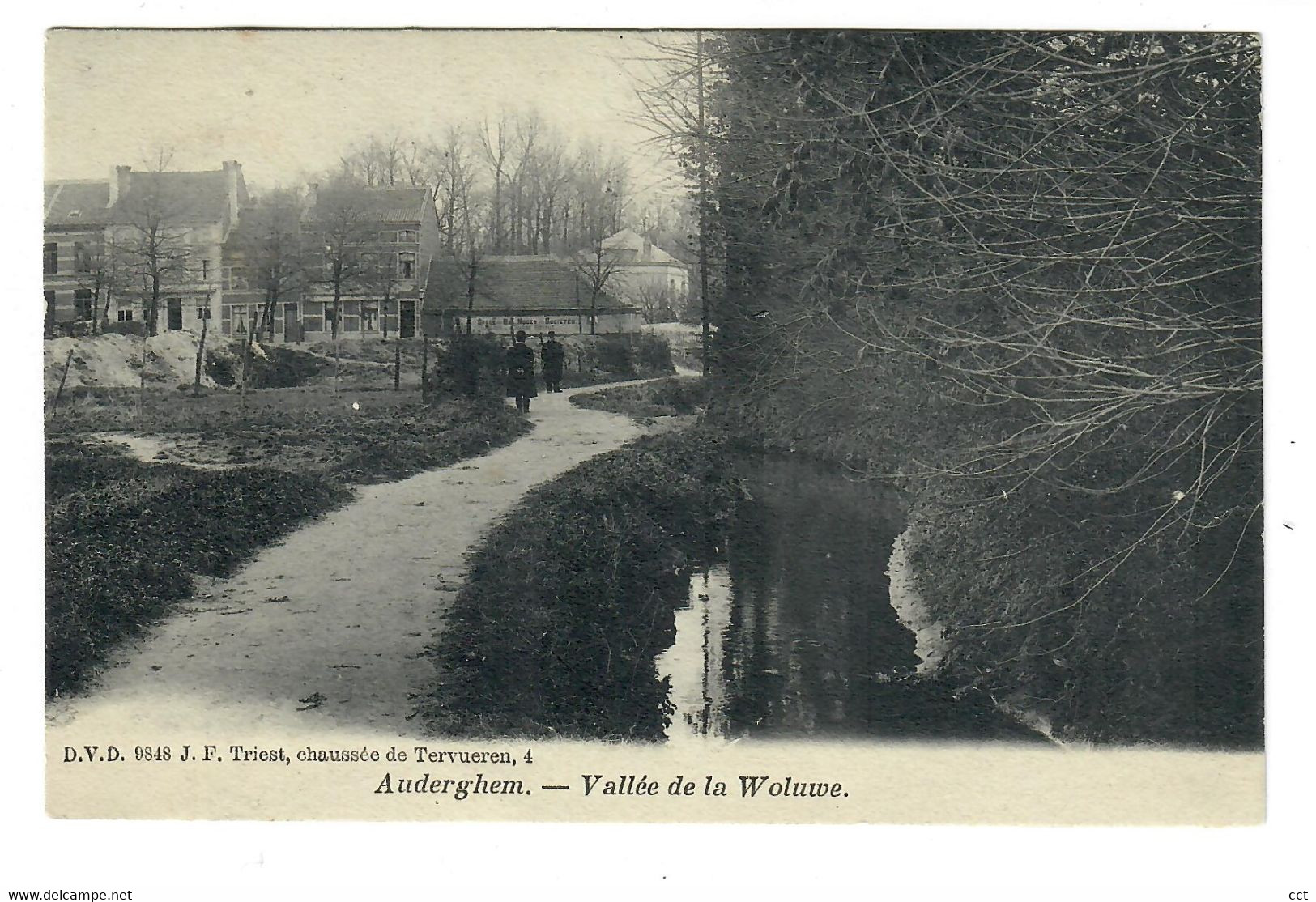 Auderghem Bruxelles Vallée De La Woluwe Edit D.V.D. 9848 J. F. Triest - Oudergem - Auderghem