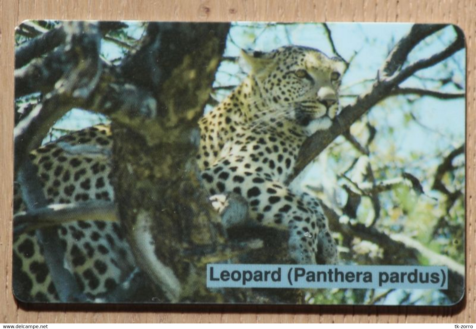 Rare Namibian Phonecard Leopard, CN-number With Normal Zero - Namibië