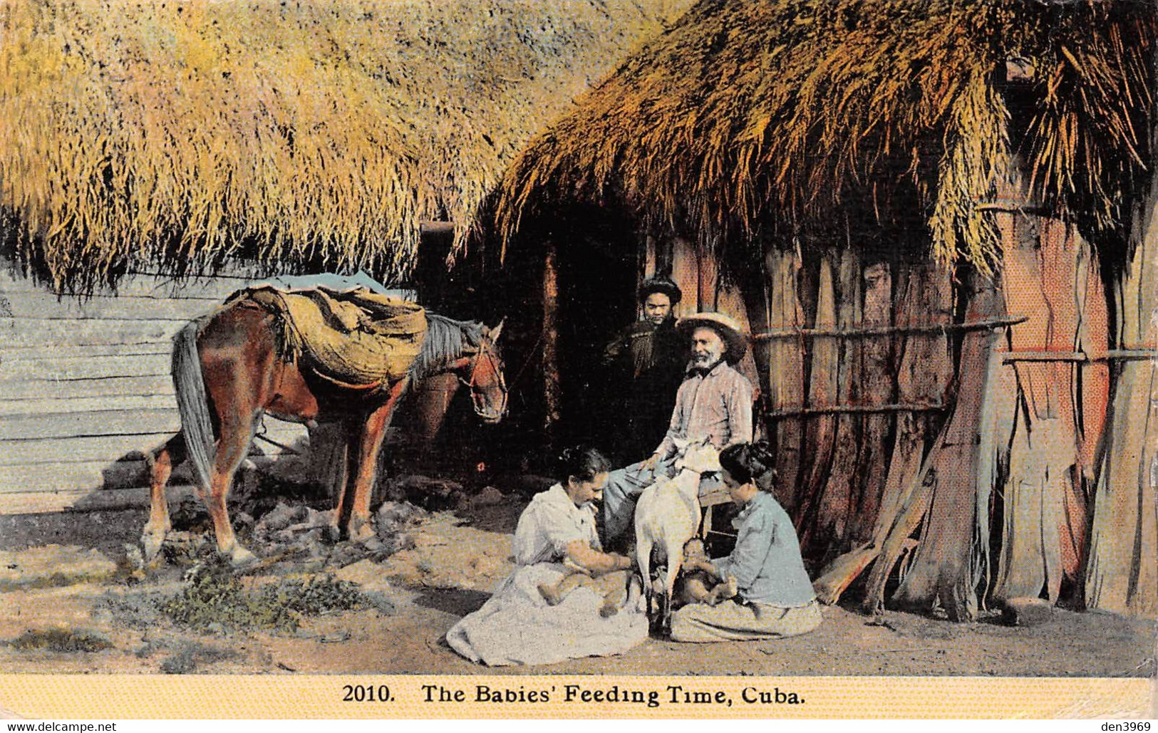 Amerique - CUBA - The Babies' Feeding Time - Cheval, Chèvre - Voyagé (voir Les 2 Scans) - Cuba