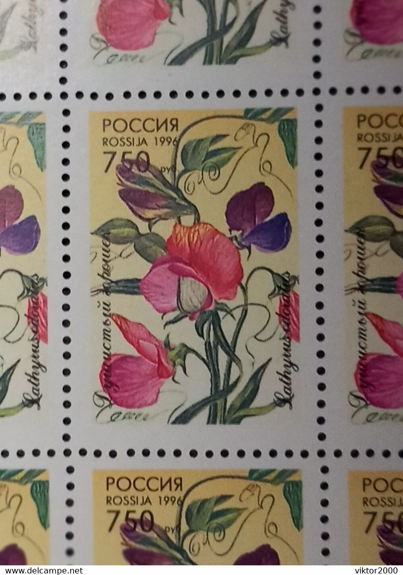 RUSSIA MNH (**) 1996 Flowers YVERT 6165-6159 Mi 480-484 - Volledige Vellen