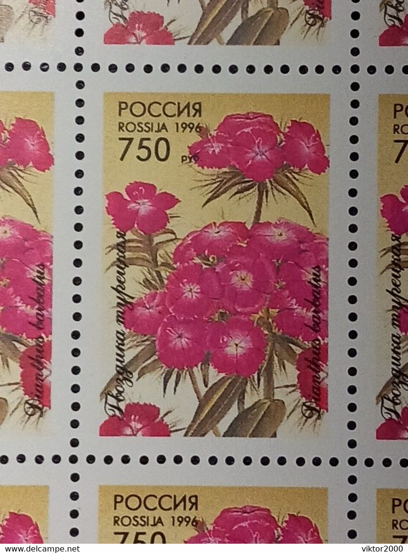 RUSSIA MNH (**) 1996 Flowers YVERT 6165-6159 Mi 480-484 - Ganze Bögen