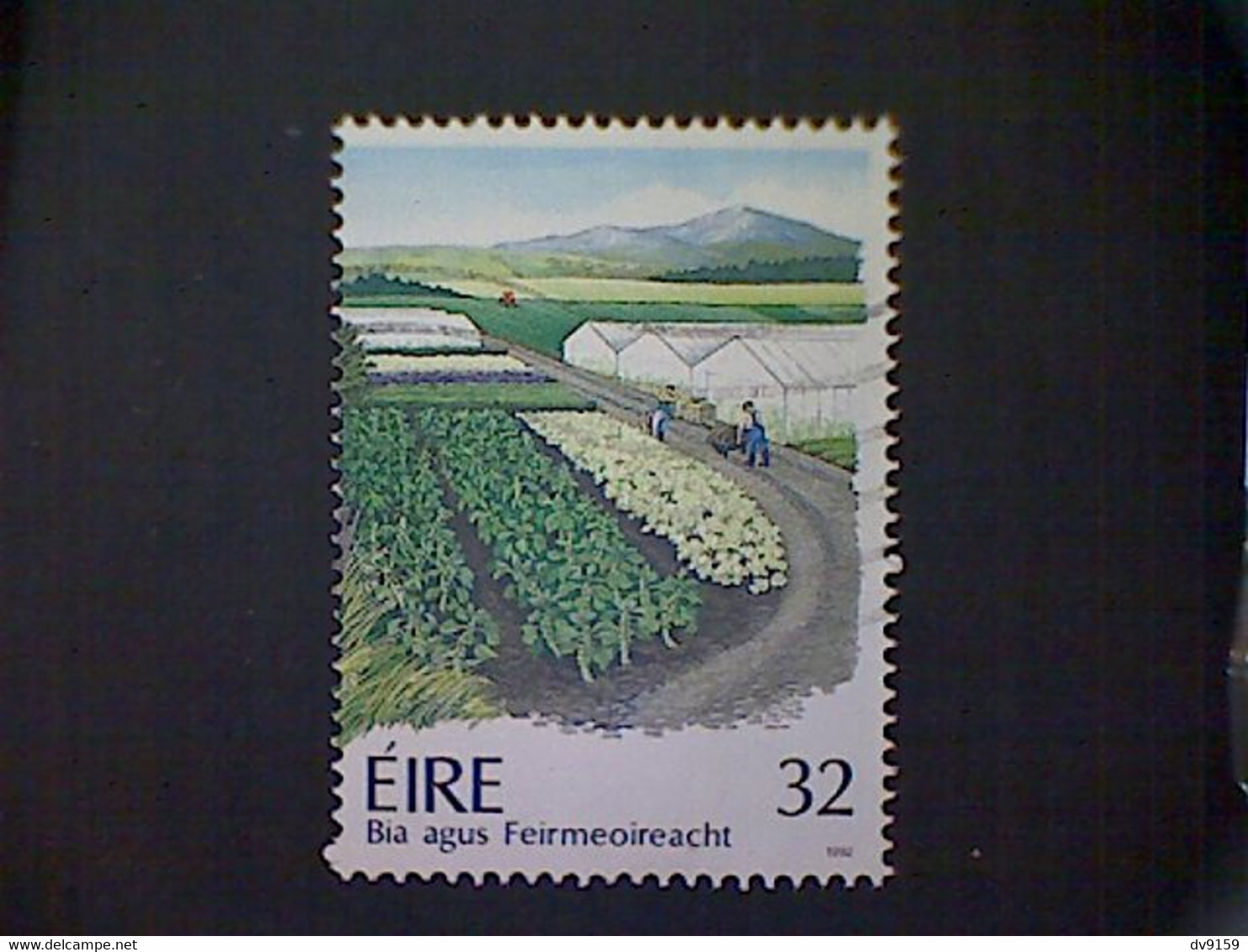 Ireland (Éire), Scott #880, Used(o), 1992, Market Garden, 32p. Multicolored - Used Stamps