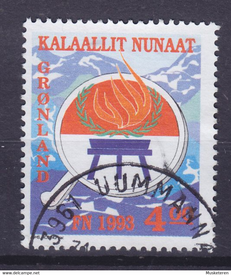 Greenland 1993 Mi. 230,  4.00 Kr International Year Of The Natives Internationales Jahr Der Ureinwohner - Oblitérés