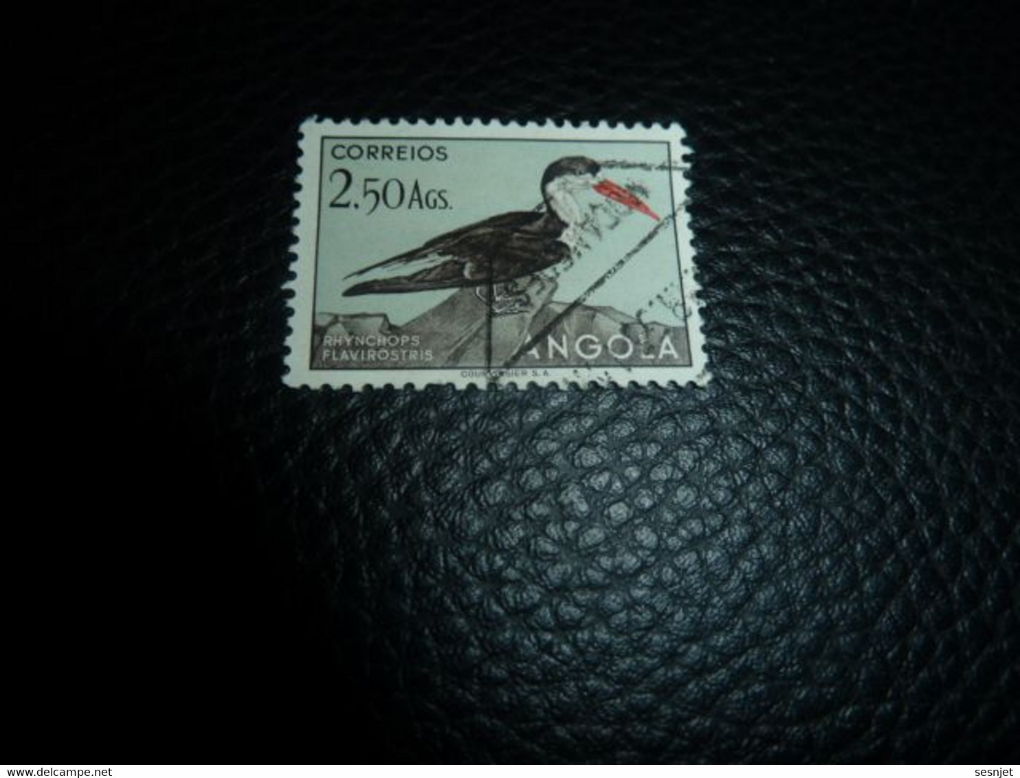 Angola - Rhynchops Flavirostris - 2.50 Ags - Yt 336 - Brun-noir, Gris Et Rouge - Oblitéré - Année 1951 - - Angola