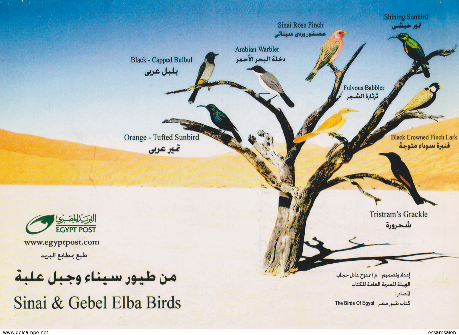EGs30512 Egypt 2014 FDC FDI Large Folder - Fauna - Egyptian Birds - Briefe U. Dokumente