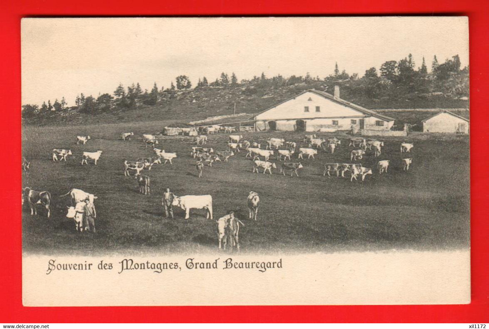 DAJ-03 RARE Alpage Du Grand Beauregard Fontaines-sur-Grandson, JURA VAUD.Armaillis. Souvenir Des Montagnes Dos Simple NC - Grandson