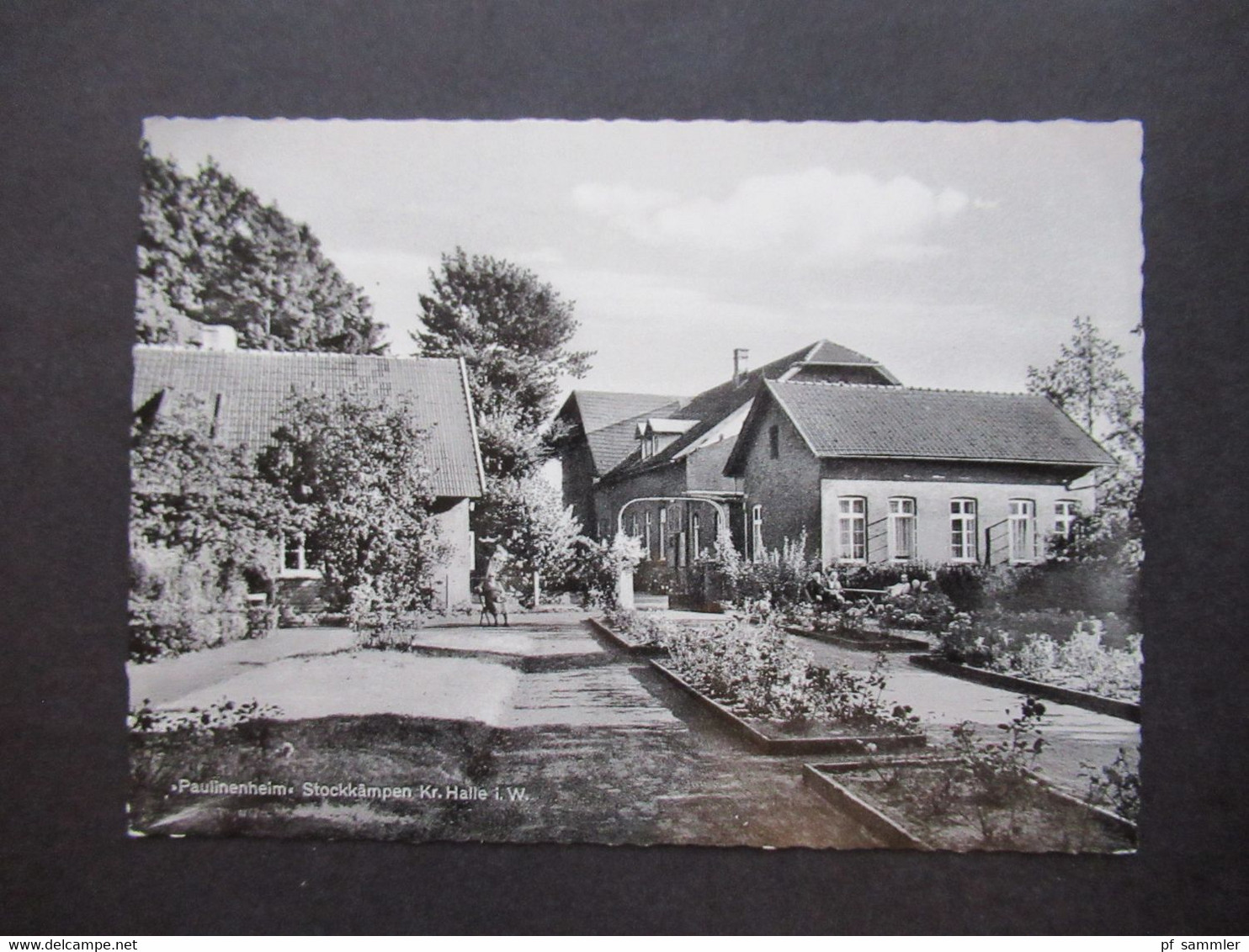 Echtfoto AK 1960er Jahre Halle In Westfalen Erholungsheim Paulinenheim 4801 Hörste Stockkämpen - Halle I. Westf.