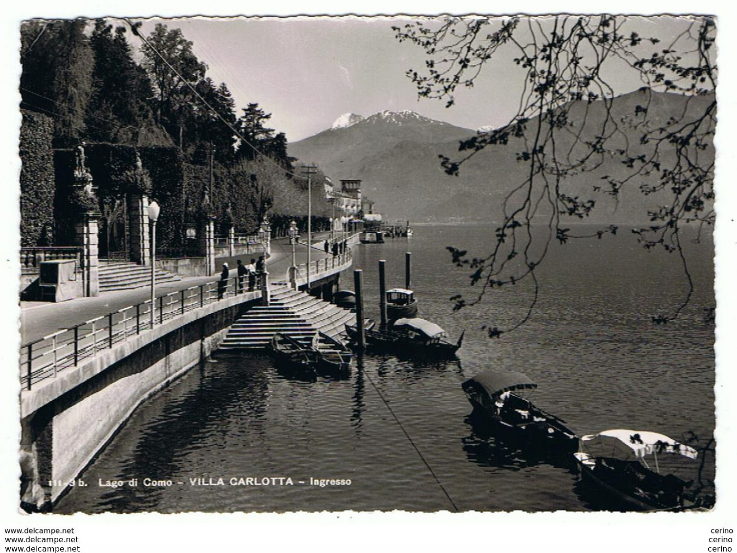 LAGO  DI  COMO:   VILLA  CARLOTTA  -  INGRESSO  -  PER  LA  SVIZZERA  -  F.LLO  TOLTO  -  FOTO  -  FG - Invasi D'acqua & Impianti Eolici