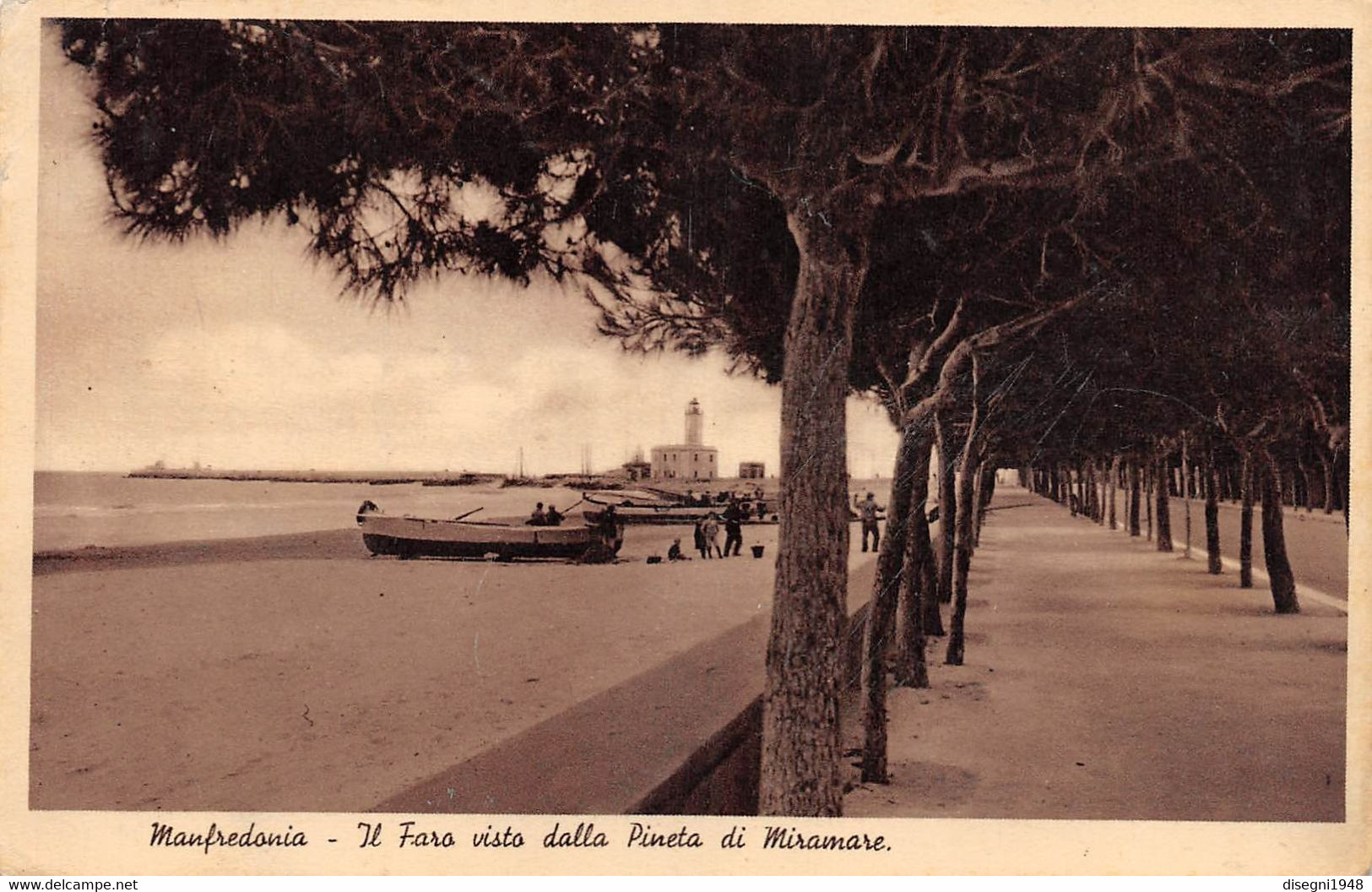 11958 "MANFREDONIA (FG) - IL FARO VISTO DALLA PINETA DI MIRAMARE" ANIMATA, CART SPED. 1940 - Manfredonia