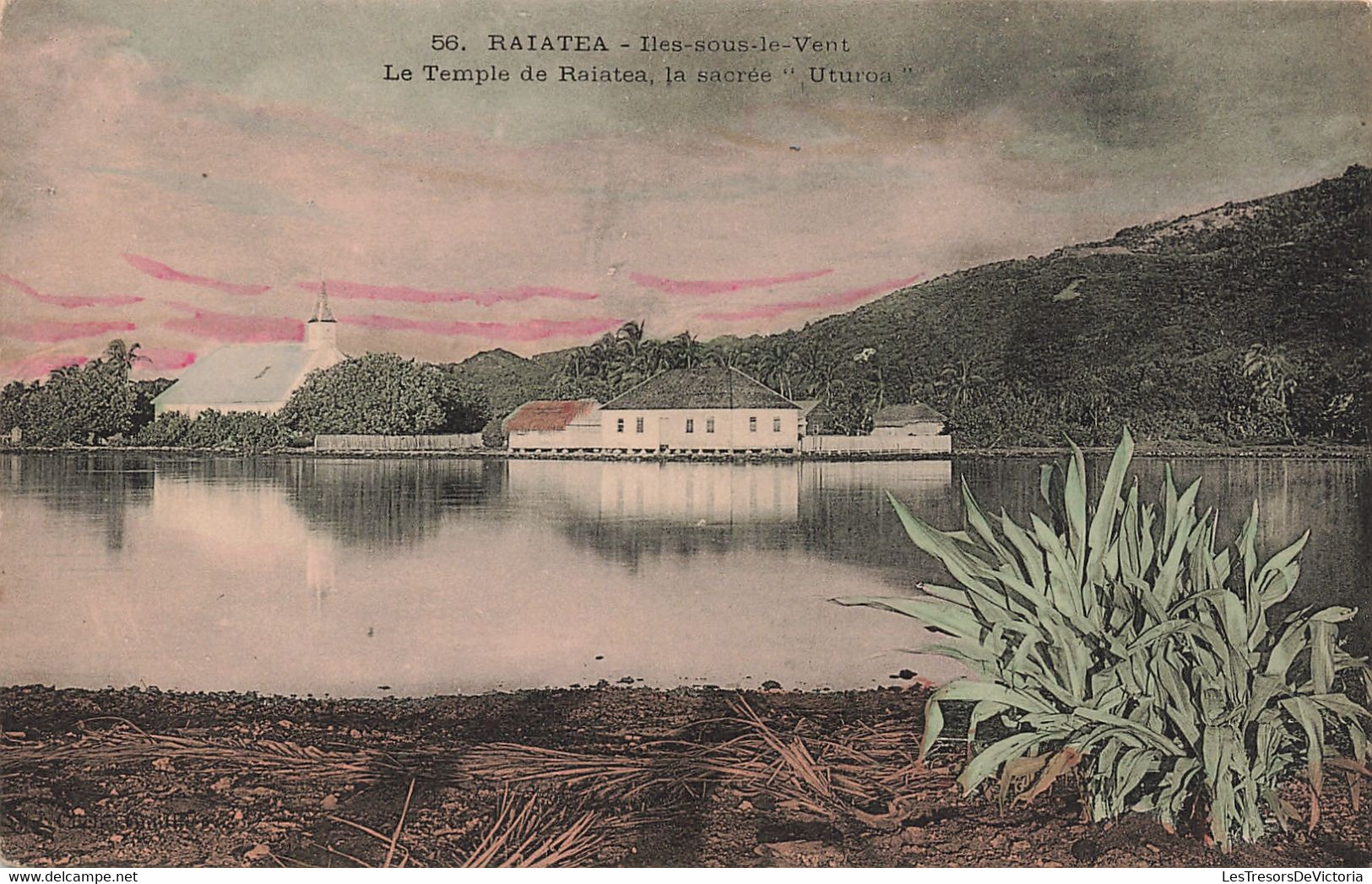 Tahiti - Raiatea Iles Sous Le Vent - Le Temple De Raiatea - La Sacrée  - Uturoa - Colorisé -   - Carte Postale Ancienne - Tahiti