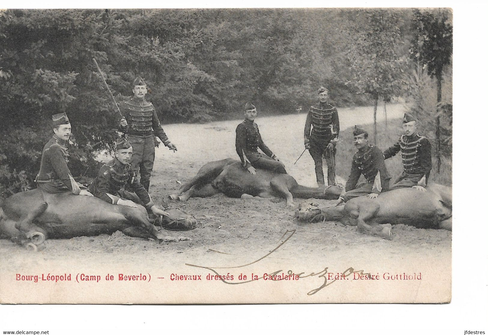CP Bourg-Léopold Camp De Beverloo Leopoldsburg Chevaux Dressés De La Cavalerie 1904  Ed Désiré Gotthold - Leopoldsburg (Camp De Beverloo)
