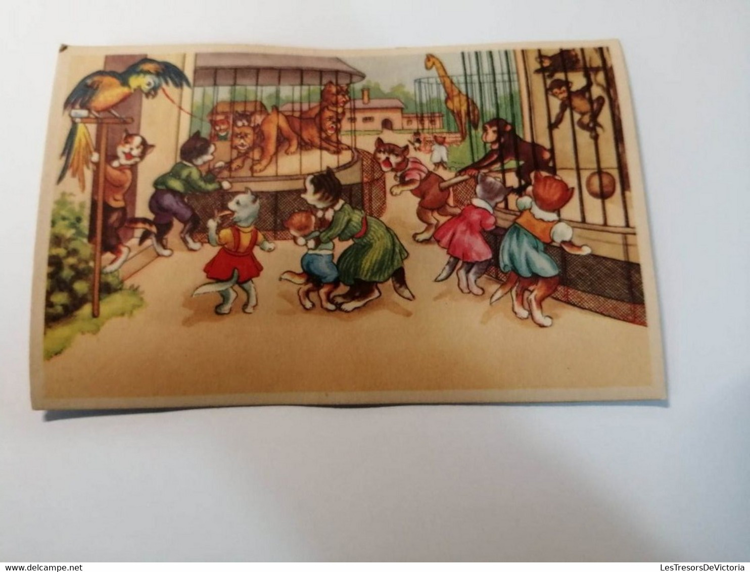 Carte Sonore - Pouet - Famille Chat Au Zoo  - Edit. Coloprint - Colorisé - Humour  - Carte Postale Ancienne - Mechanical