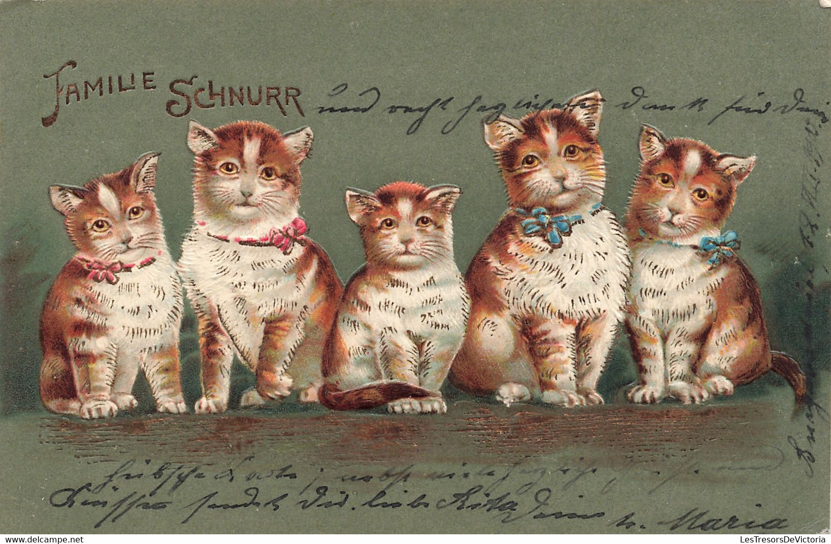 Animaux Déguisés - Chats Avec Un Noeud - Famille Schnurr - Relief - Précurseur -  - Carte Postale Ancienne - Animaux Habillés