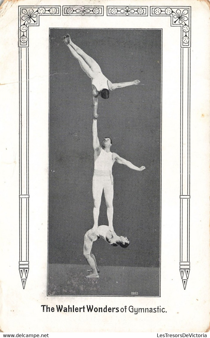 Cirque - The Wahlert Wonders Of Gymnastic - Edit. Der Artist - Carte Postale Ancienne - Circus