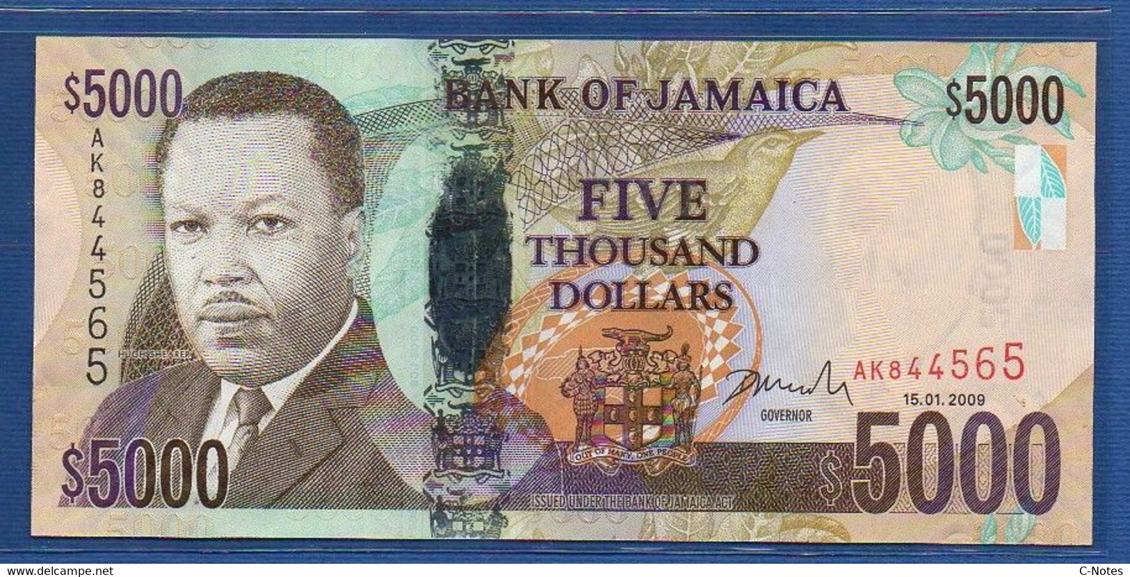 JAMAICA - P.87a – 5000 Dollars 2009 UNC-, Serie AK844565 - Jamaica