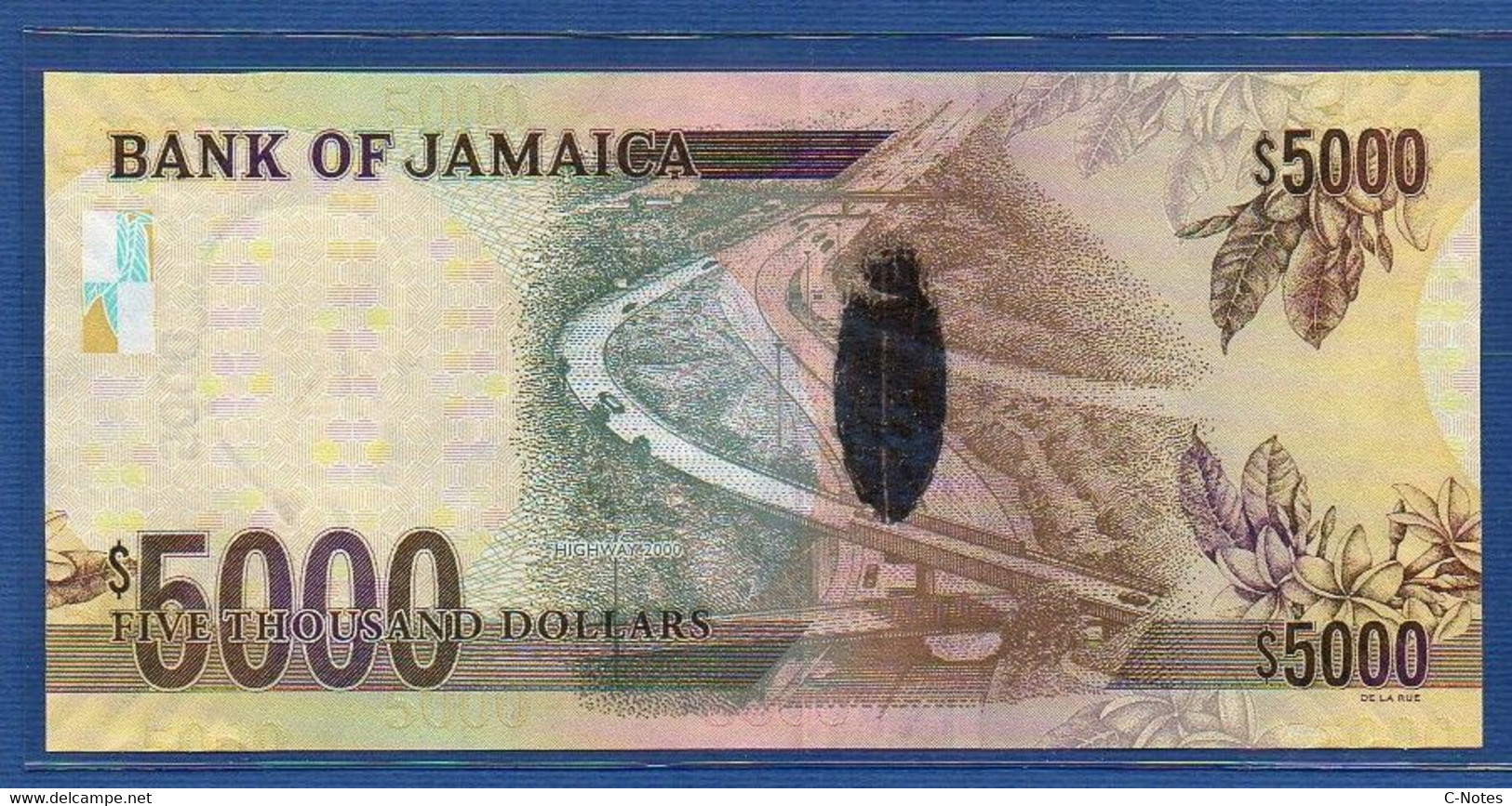 JAMAICA - P.87a – 5000 Dollars 2009 UNC-, Serie AK844565 - Jamaica