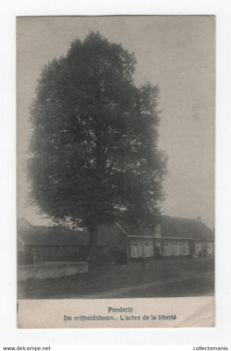 2 Oude Postkaarten   Poederlee De Vrijheidsboom   Dorpzicht - Lille