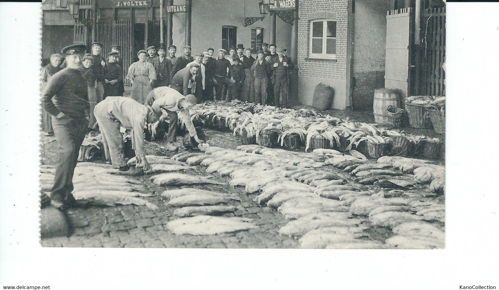 Oostende, Fischmarkt, Gelaufen 1962 (?) - Marchés