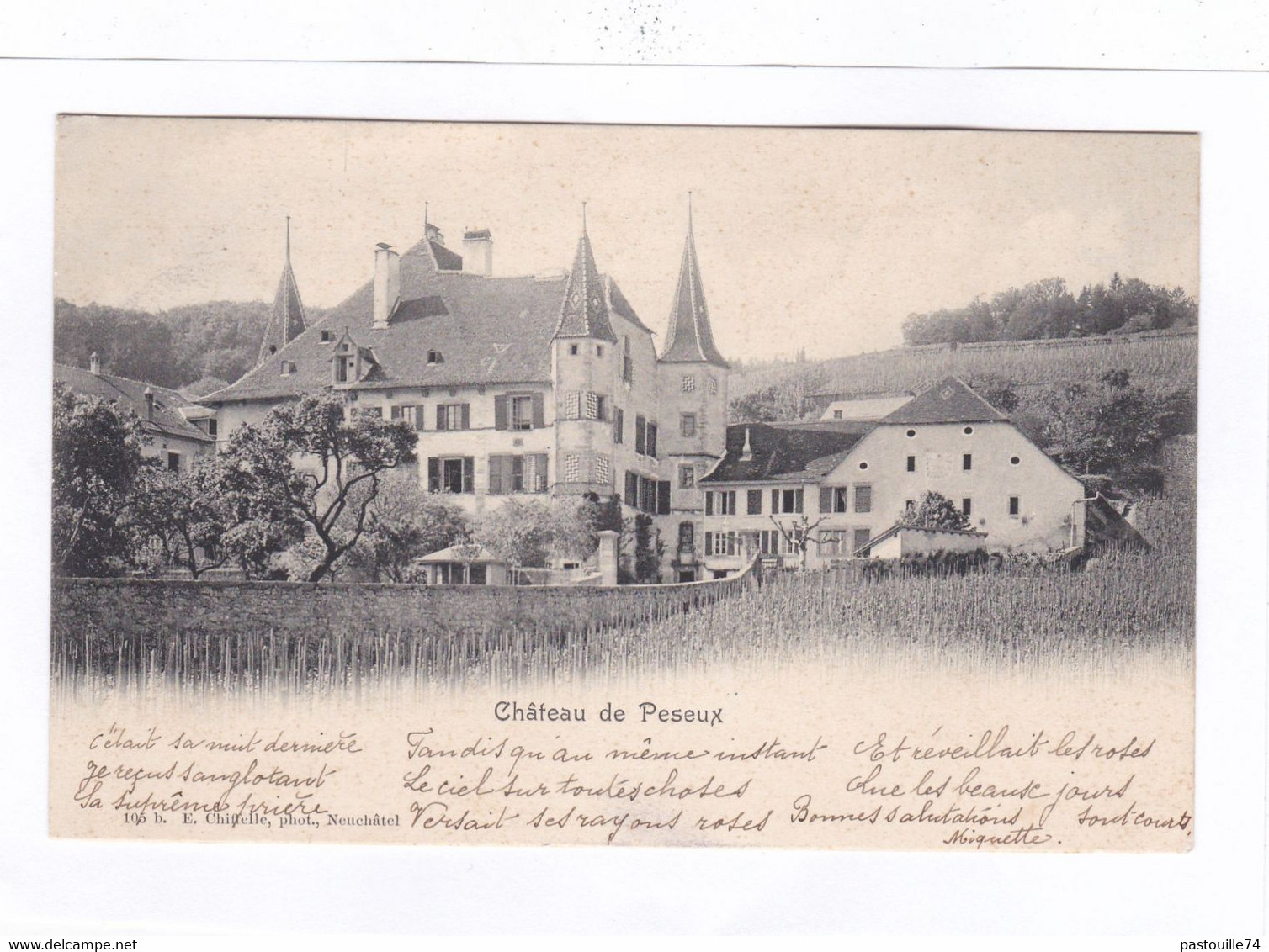 CPA :  14 X 9  -  Château  De  Peseux - Peseux