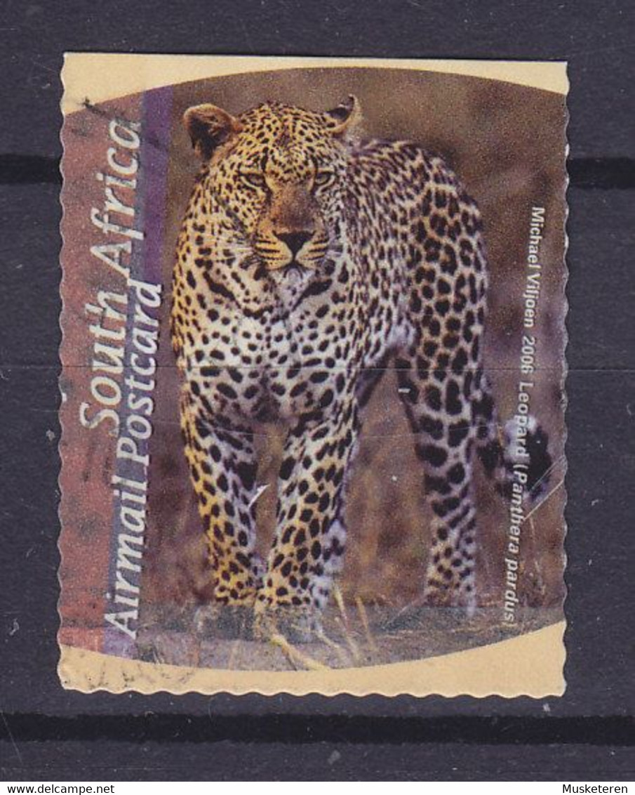 South Africa 2006 Mi. 1696,  - Grosswild Leopard (Panthera Pardus) 3-Sided Perf. - Gebraucht