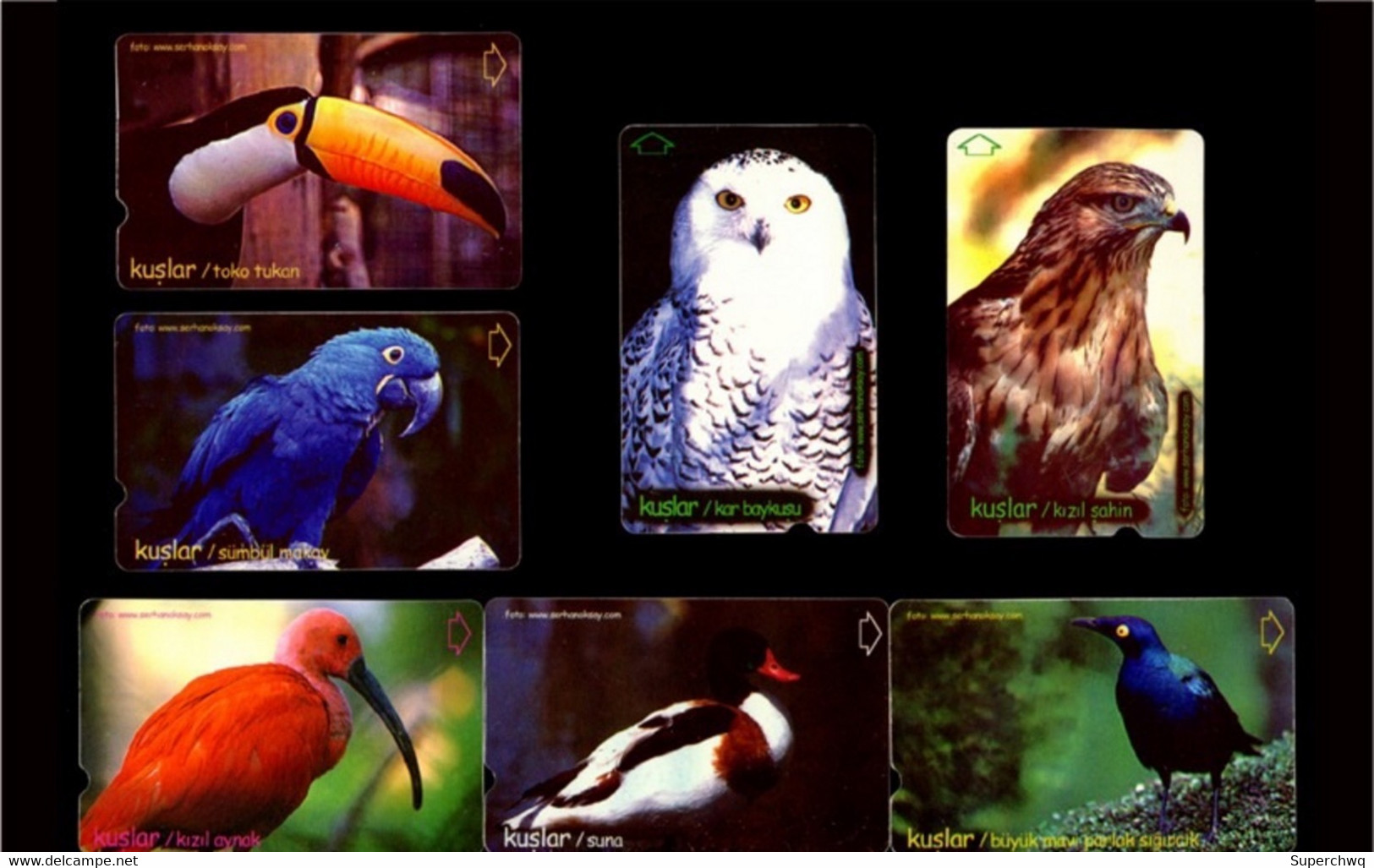 Turkey Phonecard，Animal，bird，11 Pcs - Turchia