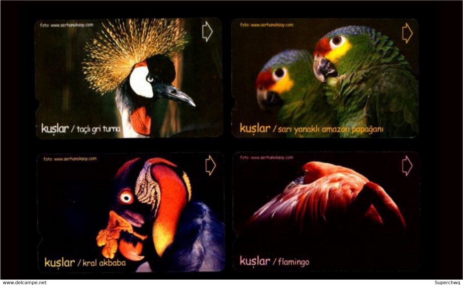 Turkey Phonecard，Animal，bird，11 Pcs - Turchia