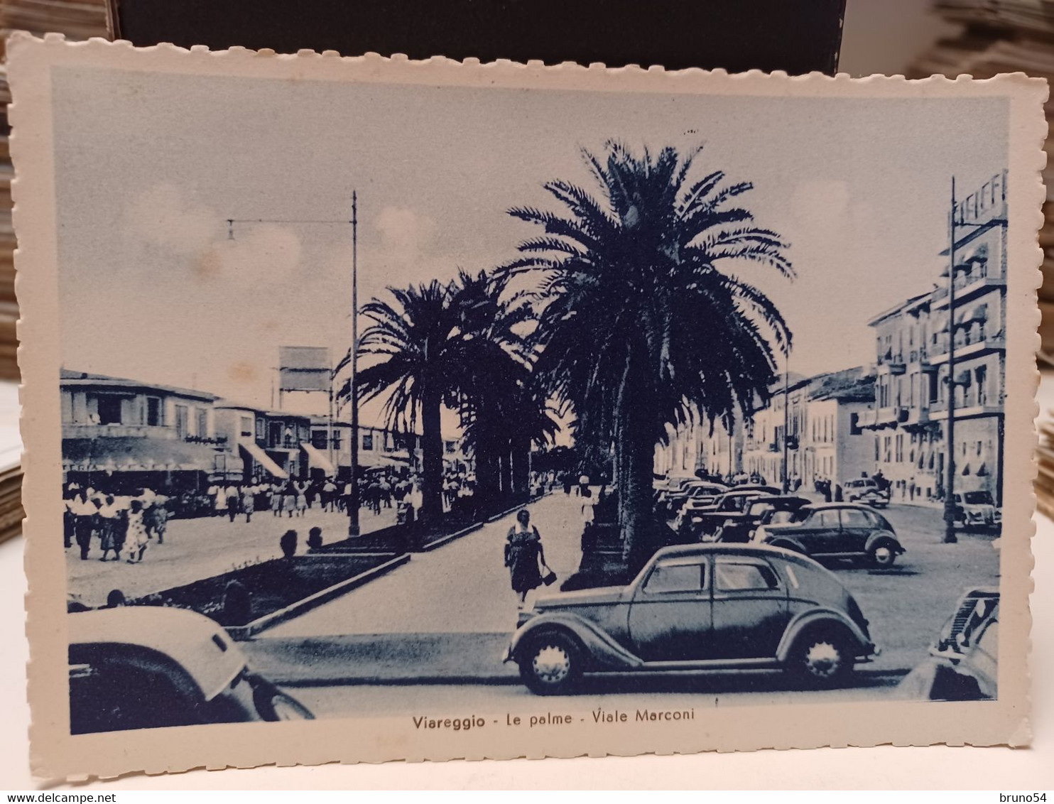 Cartolina Viareggio ,le Palme Viale Marconi , Auto D'epoca - Viareggio