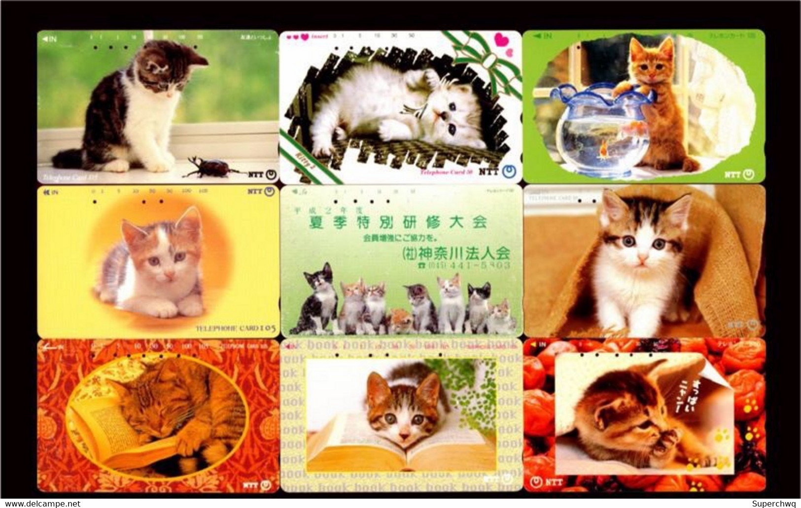 Japan Phonecard，Animal，cat，45 Pcs - Türkei