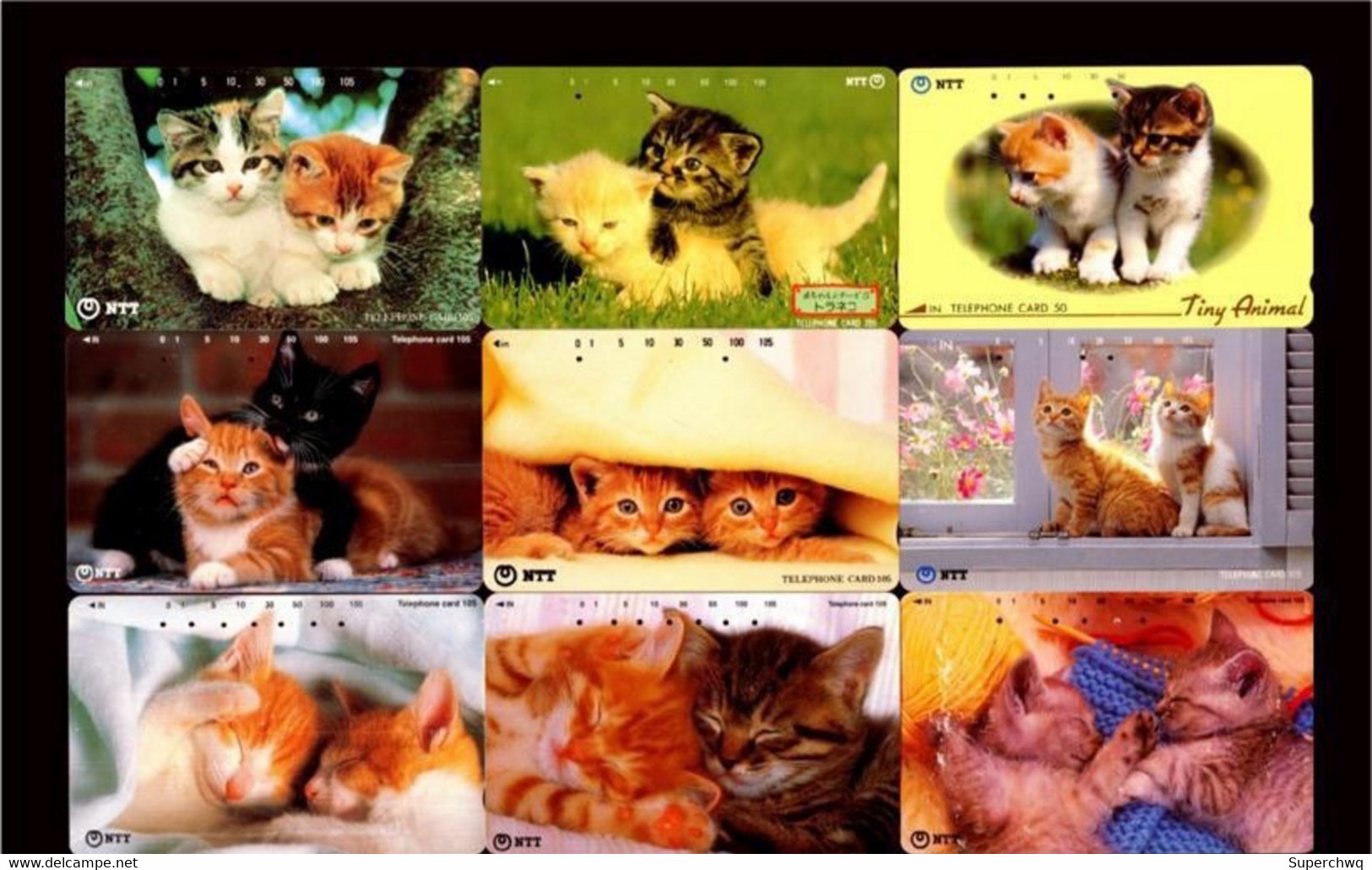 Japan Phonecard，Animal，cat，45 Pcs - Türkei