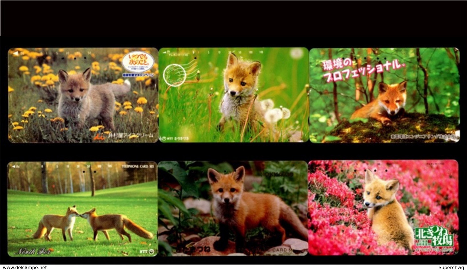 Japan Phonecard，Animal，fox，6 Pcs - Türkei