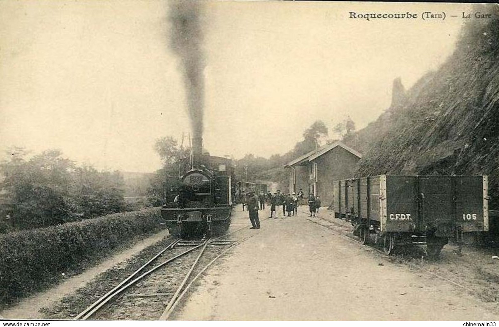 DEPT 81 ROQUECOURBE LA GARE TRES  BELLE  ANIMATION 9X14 REIMPRESSION DE CARTES ANCIENNES - Roquecourbe