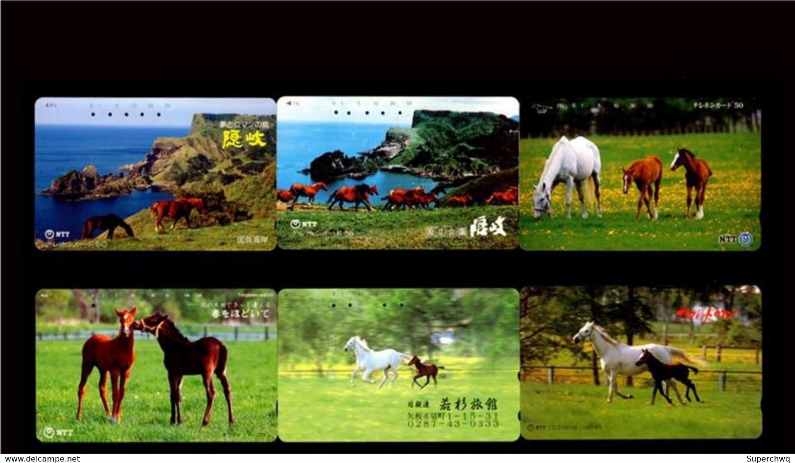 Japan Phonecard，Animal，horse，11 Pcs - Türkei