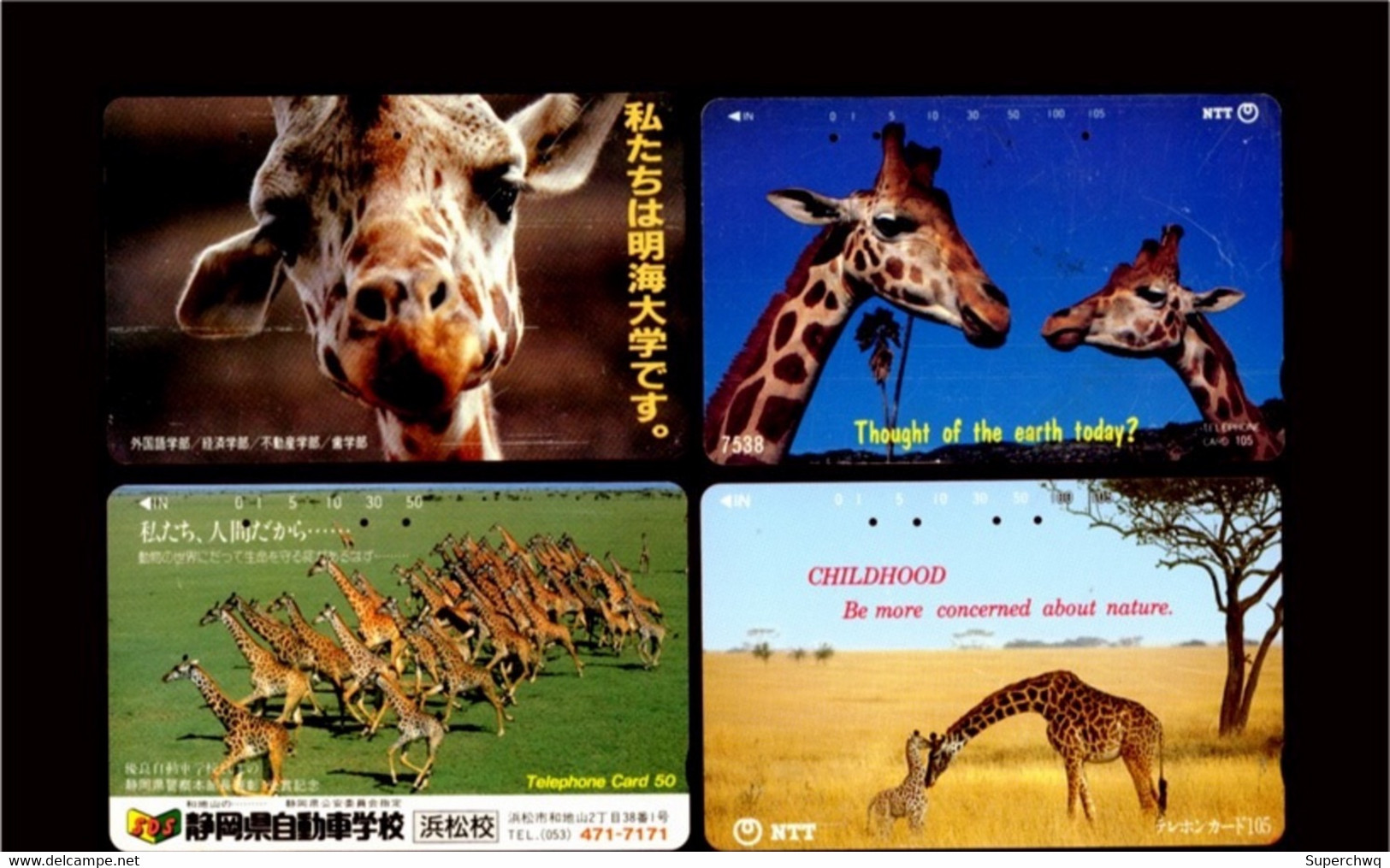 Japan Phonecard，Animal，giraffe，4 Pcs - Türkei