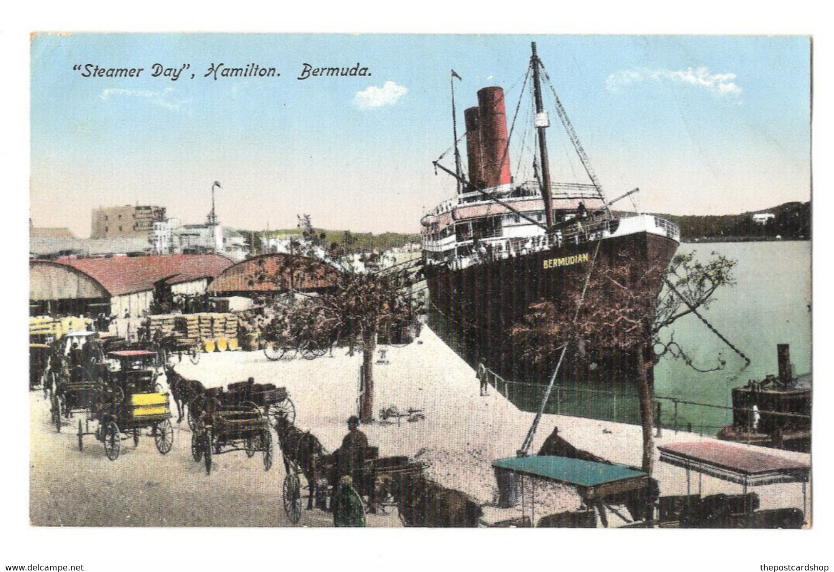 BERMUDA Steamer Day Hamilton Shipping éditeur Bermuda Drug Co Hamilton MORE BERMUDA LISTED REF 36 - Bermudes