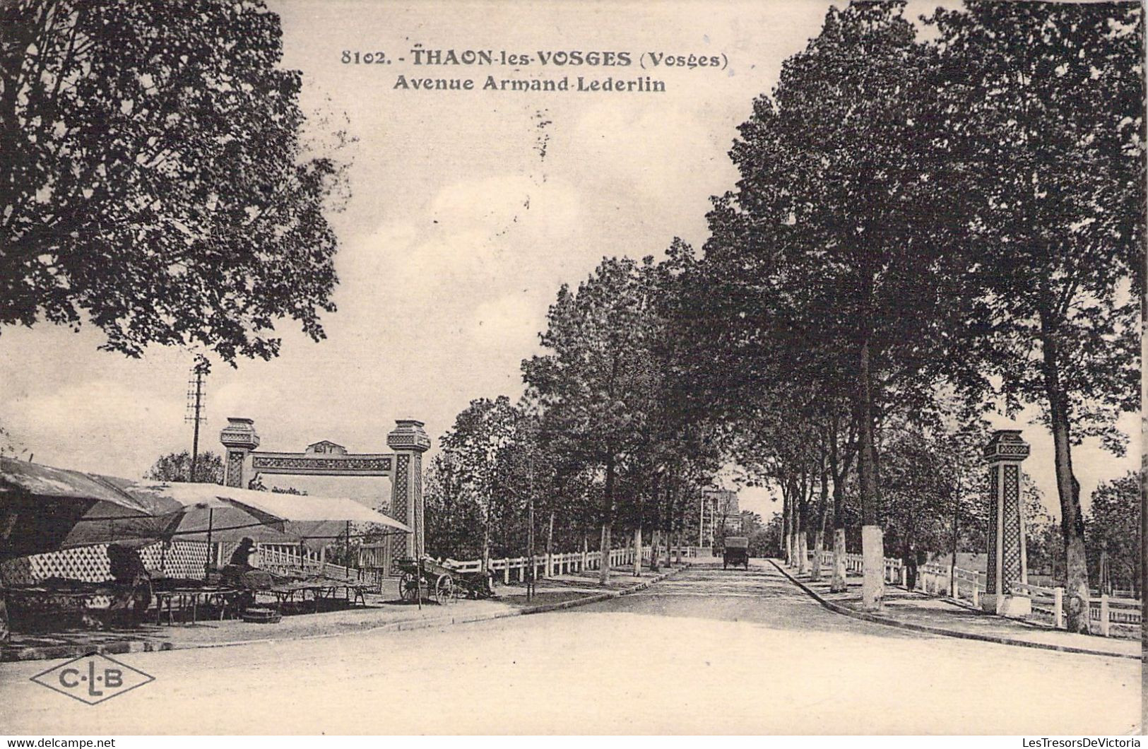 FRANCE - 88 - THAON LES VOSGES - Avenue Armand Lederllin - CLB - Carte Postale Ancienne - Thaon Les Vosges