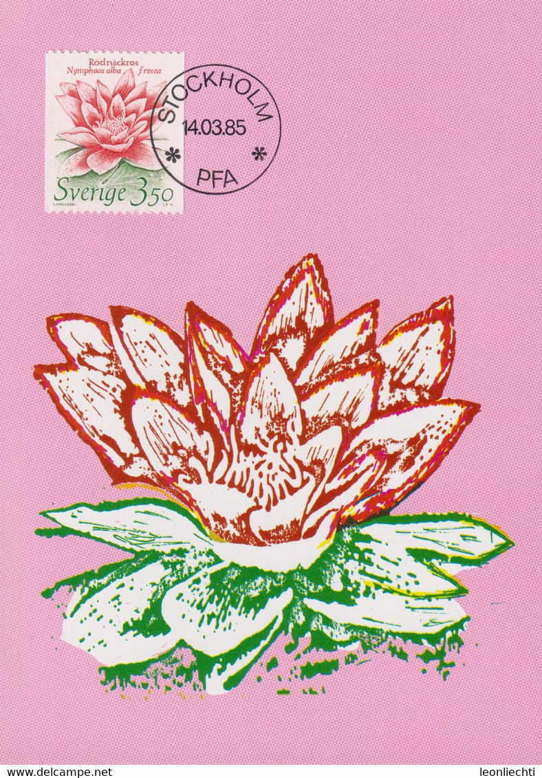 1985 Schweden, Mi: SE 1325 / Yt: SE 1307, Seerose, White Water-lily (nymphaea Alba Frosea) - Maximumkaarten (CM)